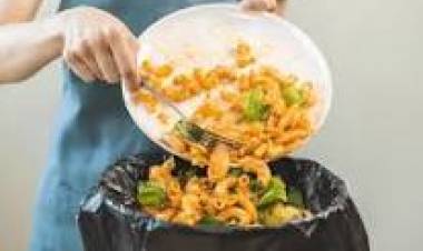 29 DE SETIEMBRE: DIA INTERNACIONAL DE LA CONCIENTIZACION DE PERDIDA Y EL DESPERDICIO DE ALIMENTOS