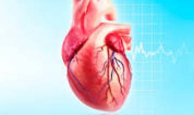 29 DE SETIEMBRE: DIA MUNDIAL DEL CORAZON