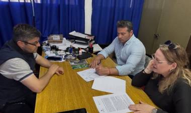 MAS PRACTICAS PROFESIONALIZANTES