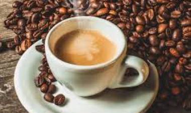 1 DE OCTUBRE: DIA INTERNACIONAL DEL CAFE