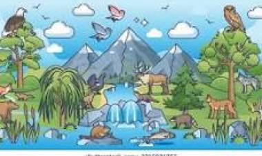 6 DE OCTUBRE: DIA MUNDIAL DEL HABITAT