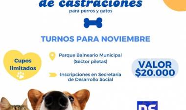 CASTRACIONES PARA PERROS Y GATOS