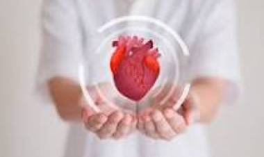 14 DE OCTUBRE: DIA MUNDIAL DE LA DONACION DE ORGANOS, TEJIDOS Y TRANSPLANTES