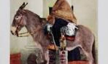 16 DE OCTUBRE: DIA DEL SANTOI CURA BROCHERO