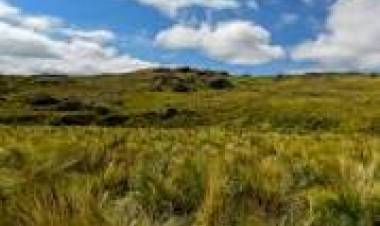 16 DE OCTUBRE: DIA DE "LA PAMPA"