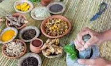 22 DE OCTUBRE: DIA INTERNACIONAL DE LA MEDICINA NATURAL O TRADICIONAL