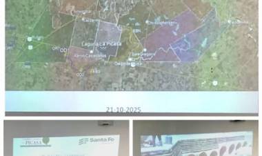 ASAMBLEA DEL COMITE DE CUENCA LA PICASA