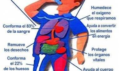 LA IMPORTANCIA DE TOMAR AGUA