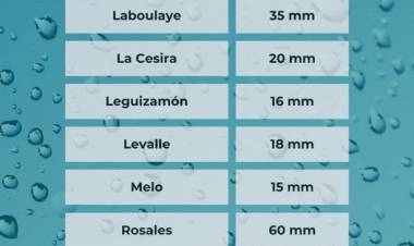 REGISTRO PLUVIOMETRICO ZONAL