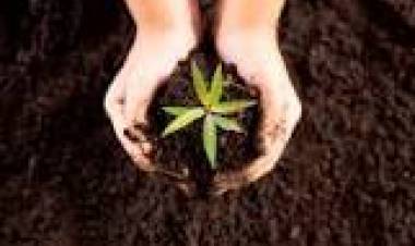 5 DE DICIEMBRE: DIA MUNDIAL DEL SUELO