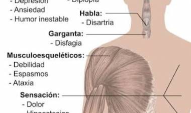 18 DE DICIEMBRE: DIA NACIONAL DE LA ESCLEROSIS MULTIPLE
