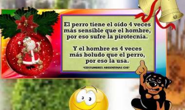 NO A LA PIROTECNIA...!!!