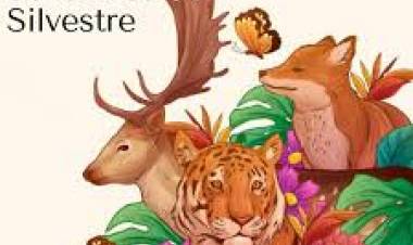 3 DE MARZO: DIA MUNDIAL DE LA VIDA SILVESTRE