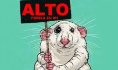 24 DE ABRIL: DIA MUNDIAL DEL ANIMAL DE LABORATORIO