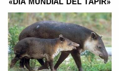 27 DE ABRIL: DIA MUNDIAL DEL TAPIR
