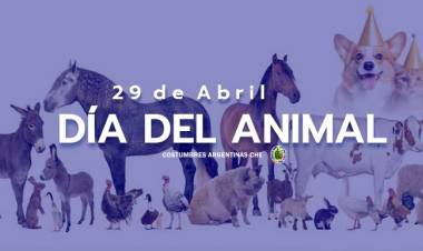 29 DE ABRIL: DIA DEL ANIMAL