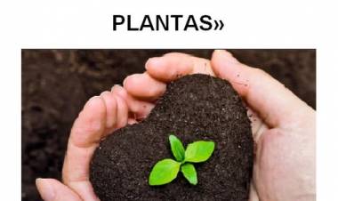 18 DE MAYO: DIA INTERNACIONAL DE LA FASCINACION POR LAS PLANTAS