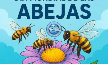 20 DE MAYO: DIA MUNDIAL DE LAS ABEJAS