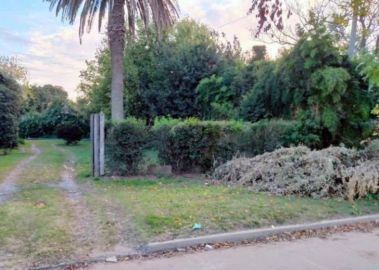 CONTRIBUIR A LA LIMPIEZA DE LA CIUDAD