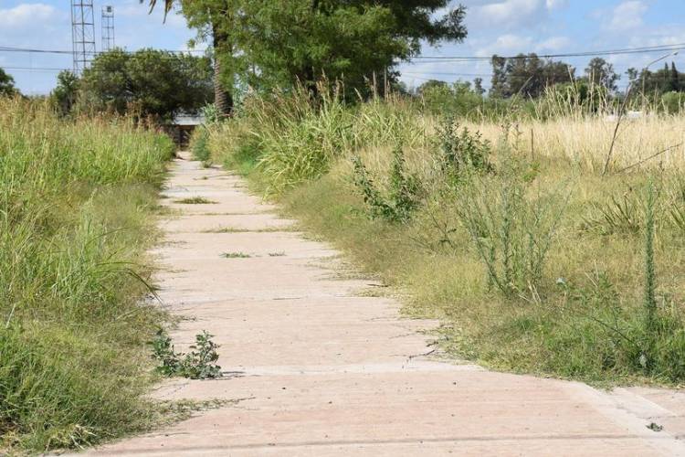IMPORTANTE_ MANTENIMIENTO DE TERRENOS Y VEREDAS