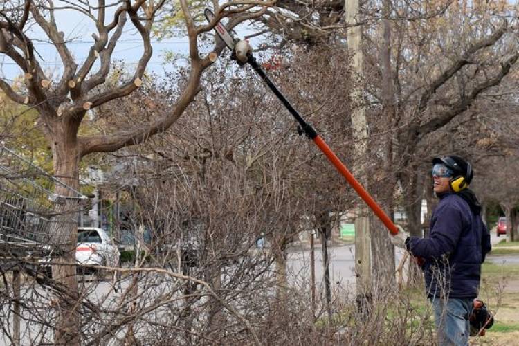 PODA EN CALLE YRIGOYEN