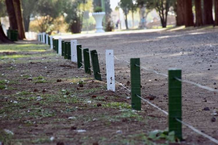 MANTENIMIENTO DE PARQUE MUNICIPAL