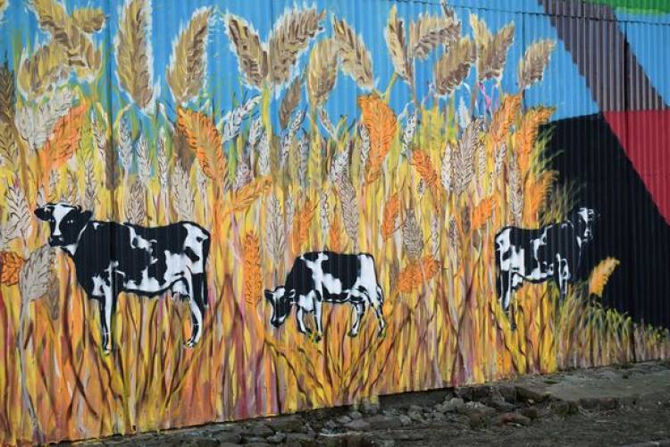 UN MURAL, UNA HISTORIA