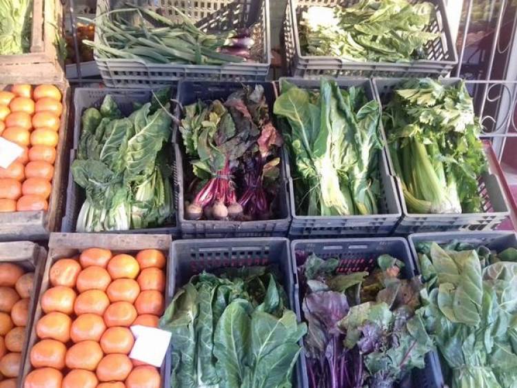 VERDULERIA, LLEGO LA MERCADERIA...!!!