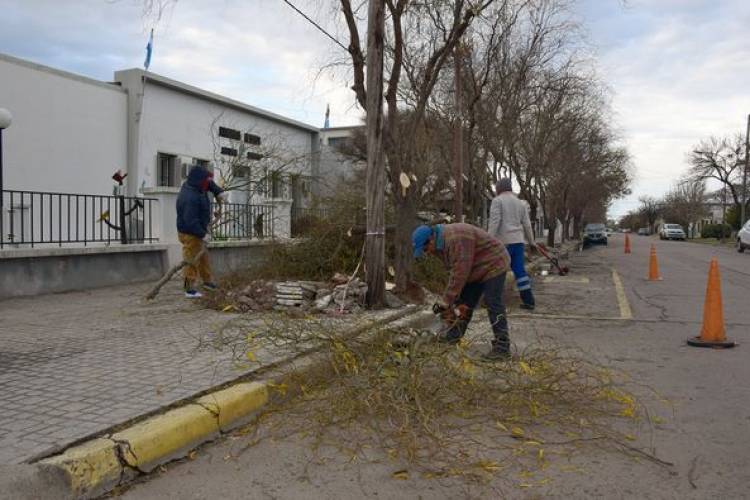 COMENZARON LOS TRABAJOS EN VEREDA