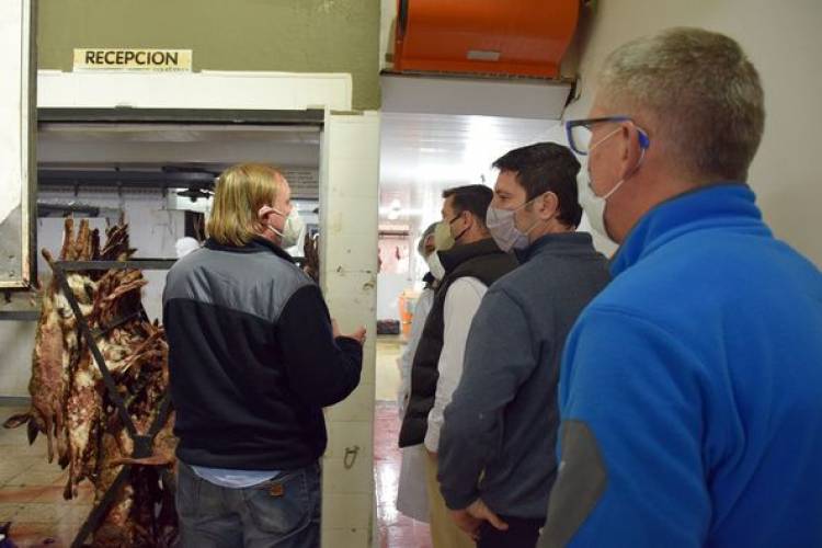 VISITA A FRIGORIFICO DE LIEBRES
