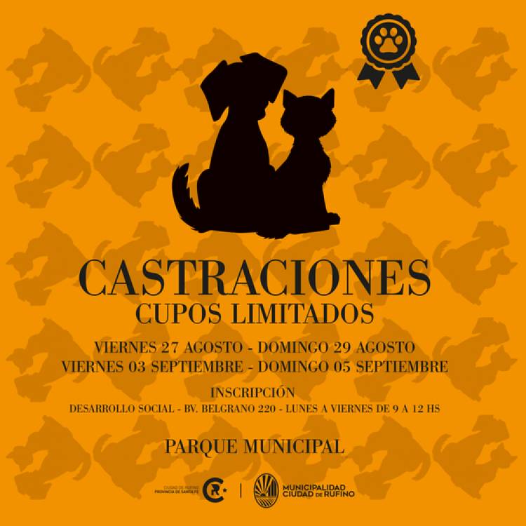 CASTRACIONES MASIVAS DE PERROS EN EL PARQUE