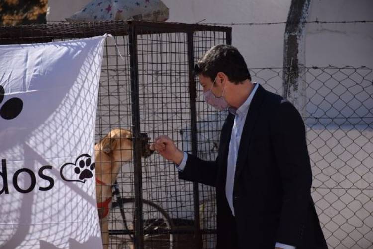 COMENZARON LAS CASTRACIONES EN EL PARQUE