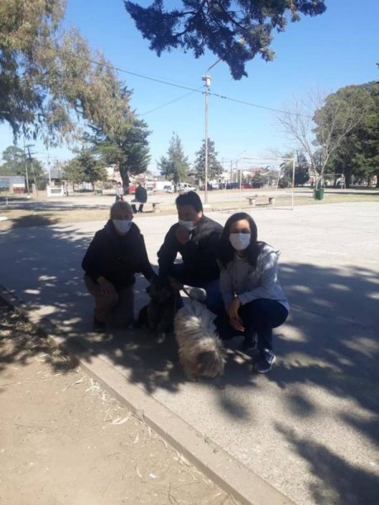 CASTRACIONES MASIVAS EN RUFINO