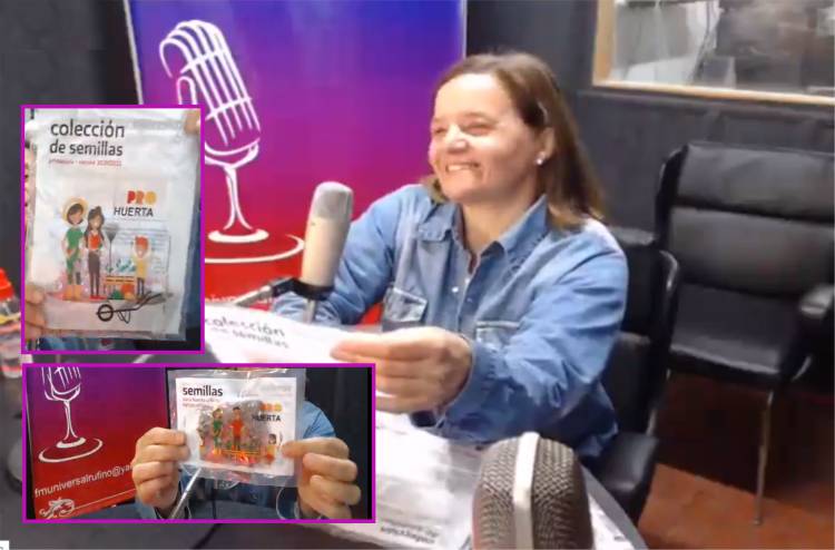 ProHuerta: llegaron los paquetes de semillas!