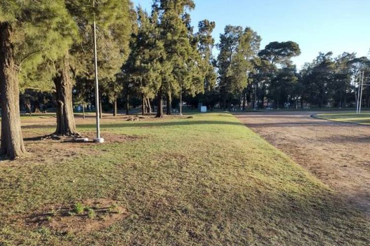 LIMPIEZA DE PARQUE MUNICIPAL