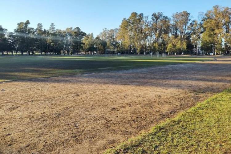 LIMPIEZA DE PARQUE MUNICIPAL