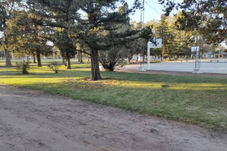 LIMPIEZA DE PARQUE MUNICIPAL