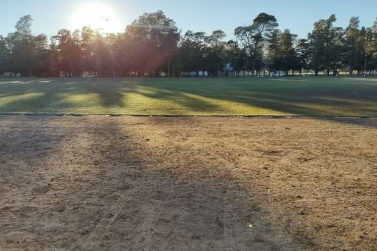 LIMPIEZA DE PARQUE MUNICIPAL