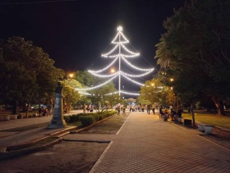 Y SE ENCENDIO EL ARBOLITO...!!!