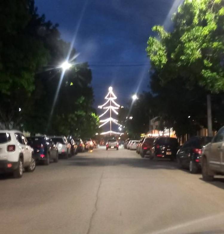 Y SE ENCENDIO EL ARBOLITO...!!!