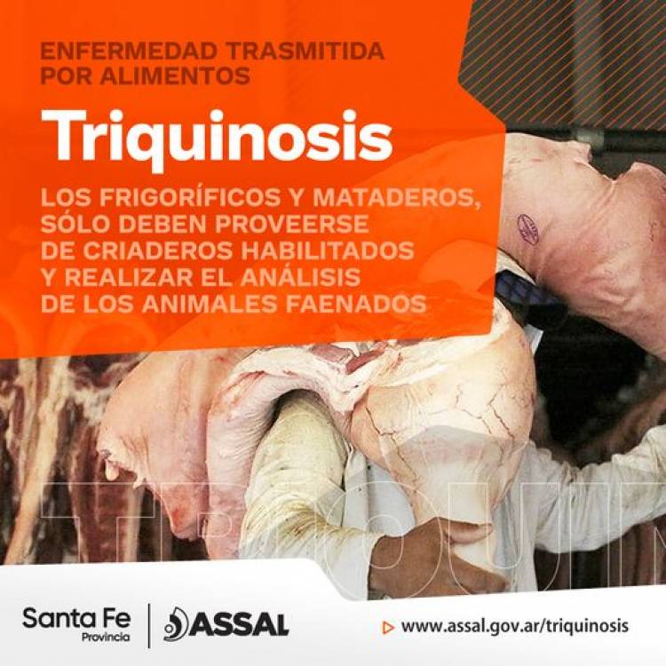 COMO SE ´ORIGINA LA TRIQUINOSIS