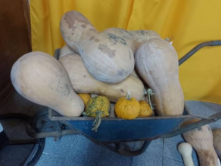 GRAN COSECHA EN EL HOGAR