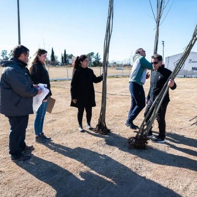 ENTREGA DE ARBOLES