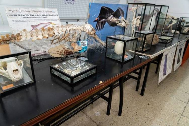 "MUSEO ITINERANTE ARGENTINO FARIÑA"