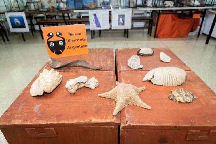 "MUSEO ITINERANTE ARGENTINO FARIÑA"