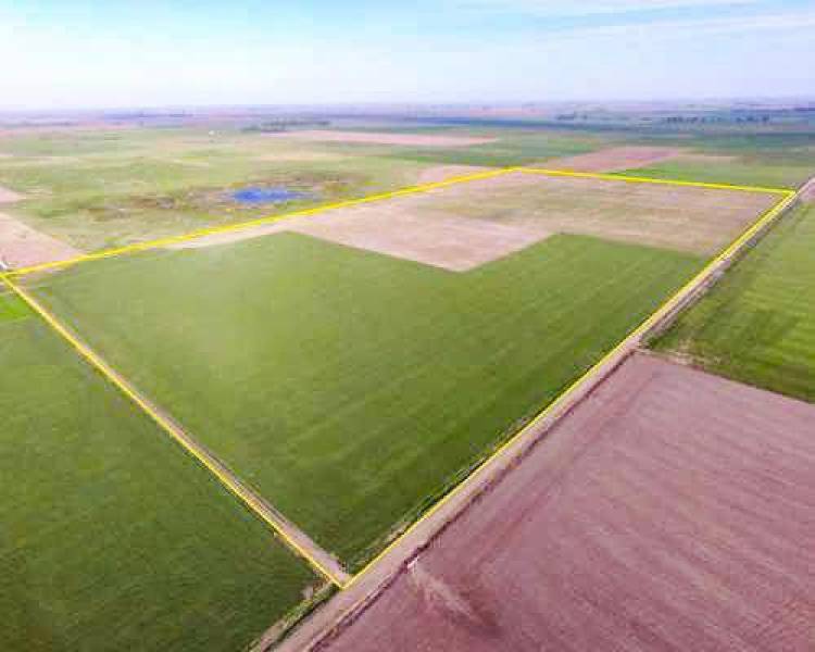 SENADOR LISANDRO ENRICO: RIGE EN SANTA FE LA LEY DE SUBDIVISION DE  CAMPOS