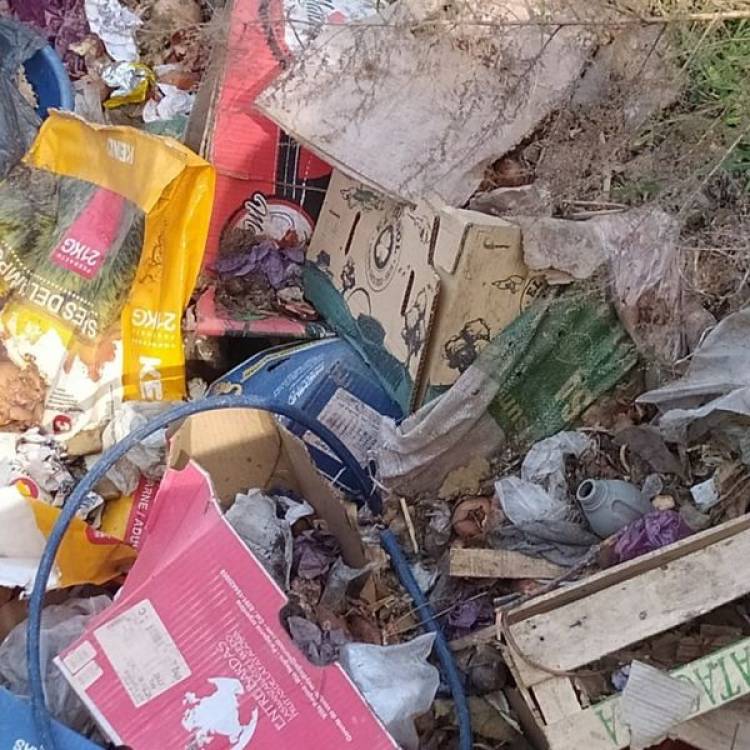 BASURA EN CANALES