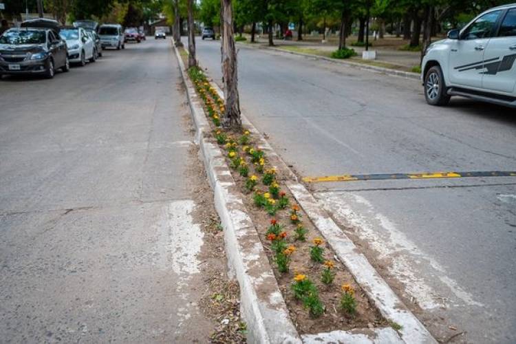 EMBELLECIENDO LA CIUDAD