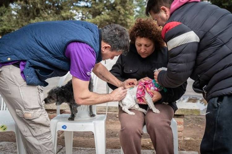 EXITOSA JORNANDA DE CASTRACIONES