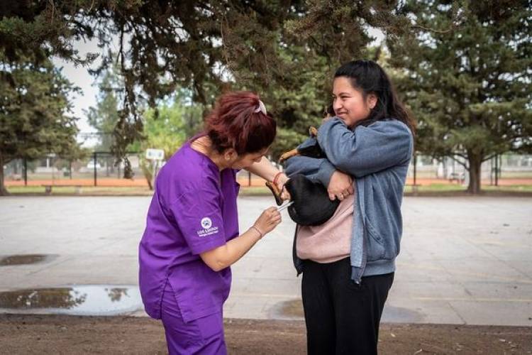 EXITOSA JORNANDA DE CASTRACIONES